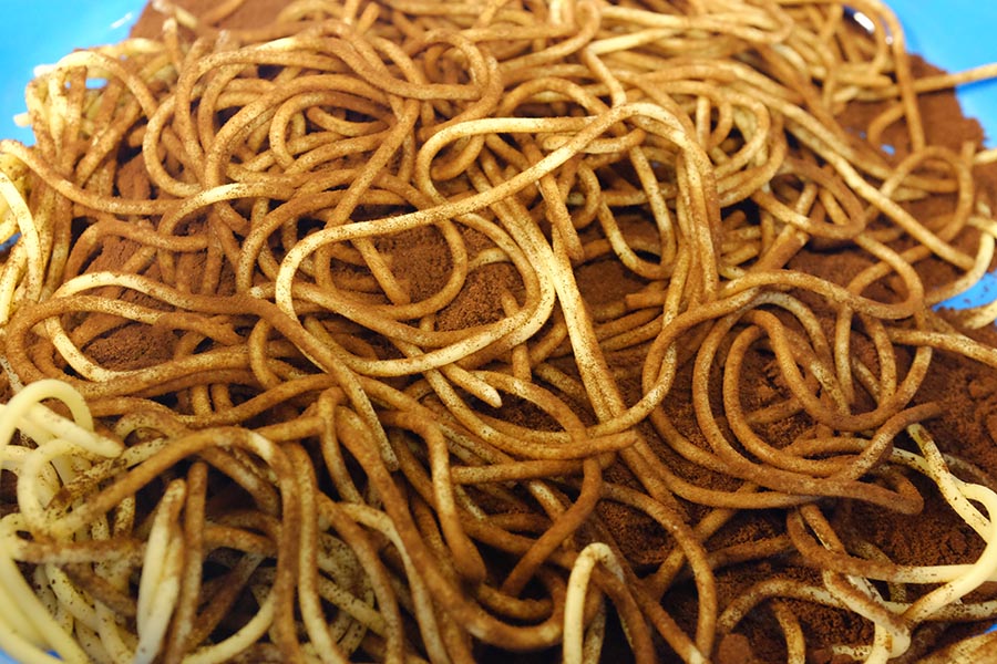 Spaghetti Play (Worms in Dirt)