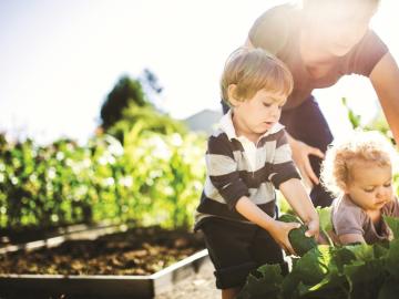 Nature Play is Here to Stay